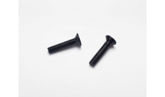 WE M4 Magazine Feed LIp Screws 2 Pack